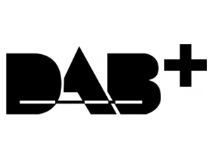 ESX DAB+ Nachrüstmodul VNA-DAB2 (intern)