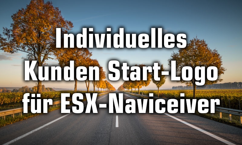 ESX Kundenlogo